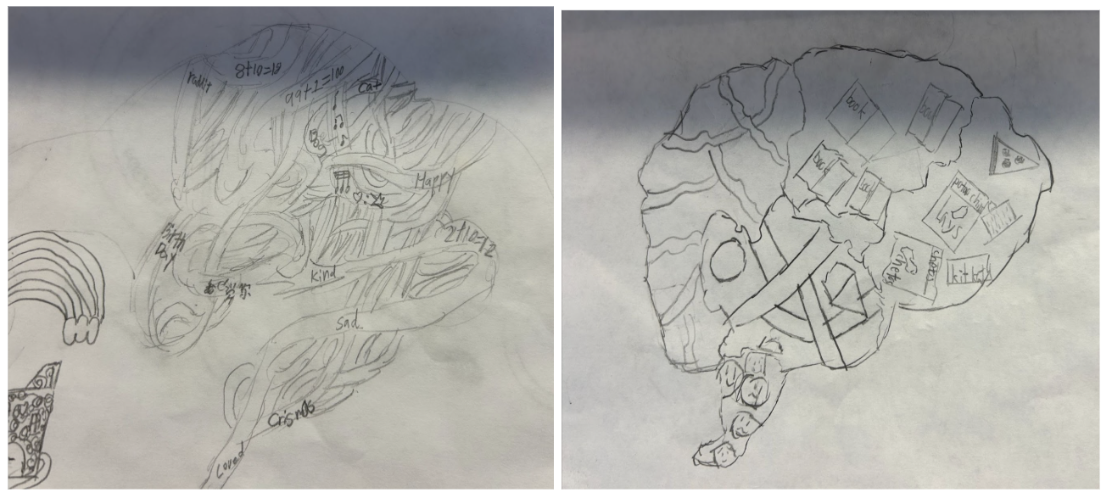  Sample student drawings of their unique brains and pathways. 